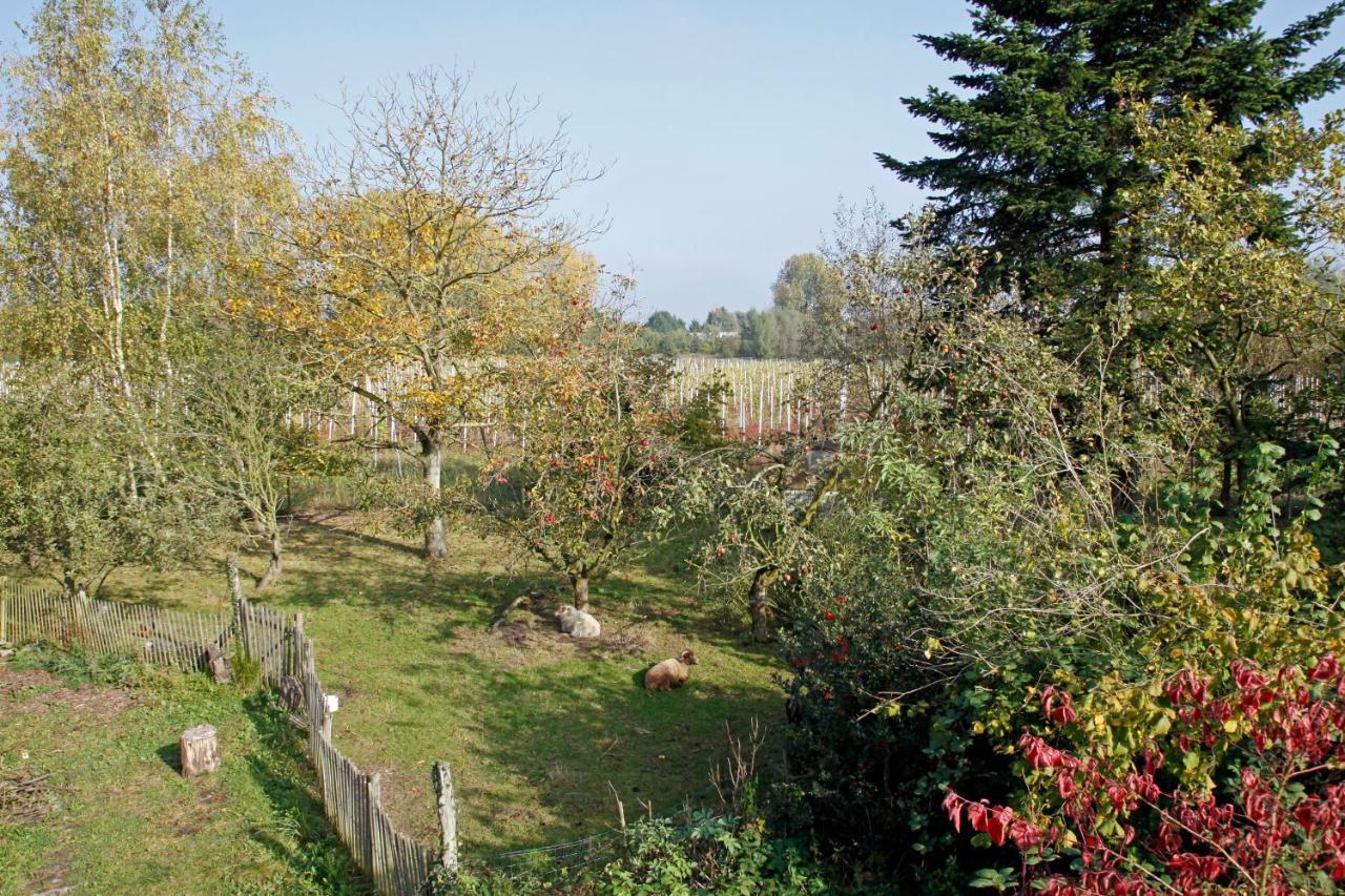 리에르 Hof Van Loverrijk B&B 외부 사진